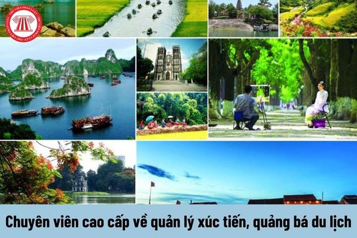 Hotspot Matrix: Giảm Thiểu Chi Phí, Tối Đa Hóa Lợi Nhuận Trong Ngành Video Ngắn