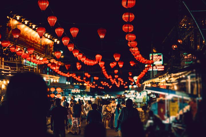 Bonobo: Nguồn Gốc Tiến Hóa Của Ngôn Ngữ Con Người?